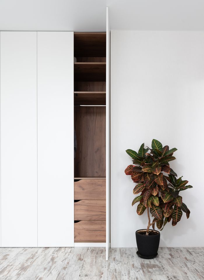 creative-03 Fresh exotic fire croton potted plant placed on floor near minimalist white wardrobe with opened door in modern apartment